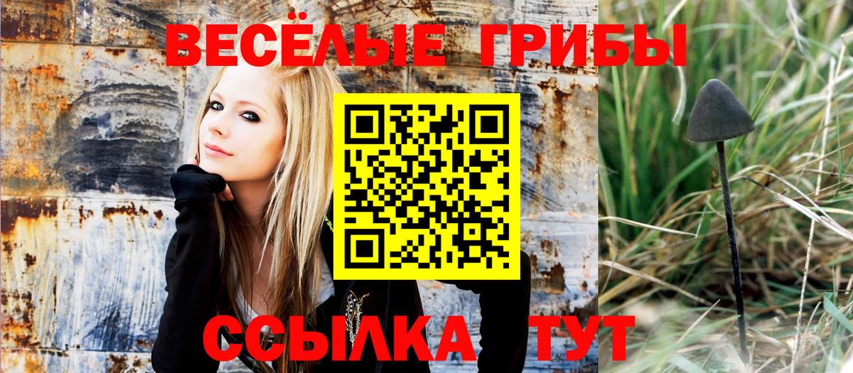 Галлюциногенные грибы MAGIC MUSHROOMS Дедовск
